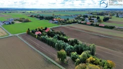 LER-GS-3379 - zdjęcie nr 4