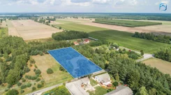 LER-GS-2446 - zdjęcie nr 3