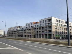 151058 - zdjęcie nr 0