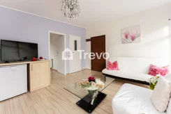 TN956425 - zdjęcie nr 1