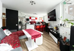 TN466928 - zdjęcie nr 0