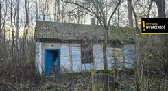 GH700094 - zdjęcie nr 0