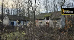 GH700094 - zdjęcie nr 2