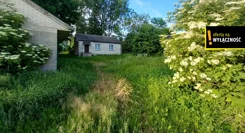 GH262429 - zdjęcie nr 3