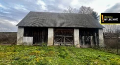 GH406542 - zdjęcie nr 1