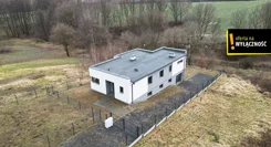 GH956865 - zdjęcie nr 0