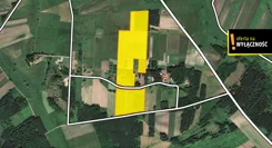 GH889308 - zdjęcie nr 0