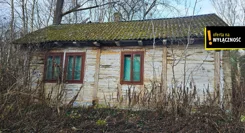 GH843525 - zdjęcie nr 3