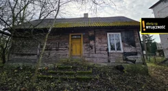 GH843525 - zdjęcie nr 4