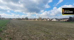 GH754142 - zdjęcie nr 4