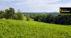 GH233721 - zdjęcie nr 2