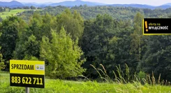 GH233721 - zdjęcie nr 4