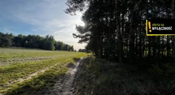 GH531159 - zdjęcie nr 0