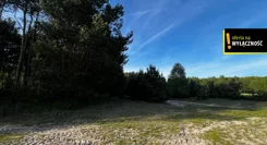 GH531159 - zdjęcie nr 1