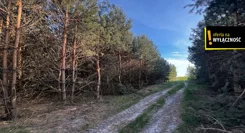 GH531159 - zdjęcie nr 2