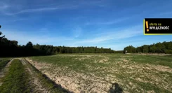 GH531159 - zdjęcie nr 3