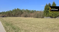 GH499994 - zdjęcie nr 1