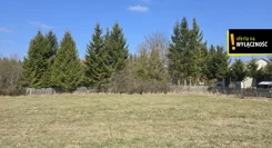 GH499994 - zdjęcie nr 3