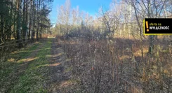 GH391367 - zdjęcie nr 1