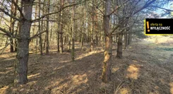 GH391367 - zdjęcie nr 2