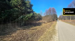 GH391367 - zdjęcie nr 3