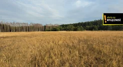 GH473641 - zdjęcie nr 0