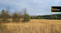 GH473641 - zdjęcie nr 2