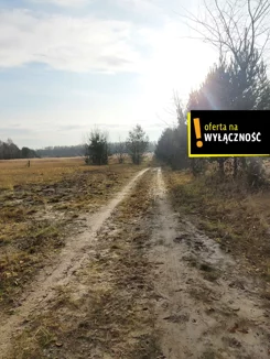 GH473641 - zdjęcie nr 3