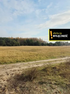 GH473641 - zdjęcie nr 4