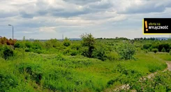 GH943567 - zdjęcie nr 3