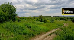 GH943567 - zdjęcie nr 4