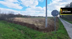GH120196 - zdjęcie nr 2