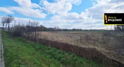 GH120196 - zdjęcie nr 4