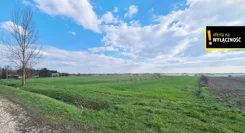 GH394520 - zdjęcie nr 1