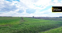 GH394520 - zdjęcie nr 4