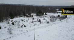 GH658156 - zdjęcie nr 3