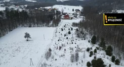 GH658156 - zdjęcie nr 4