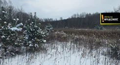 GH861428 - zdjęcie nr 3