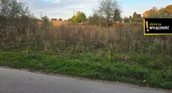 GH295926 - zdjęcie nr 3