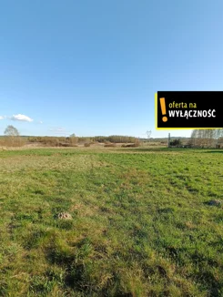 GH554692 - zdjęcie nr 3