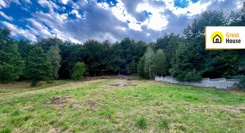 GH445259 - zdjęcie nr 4