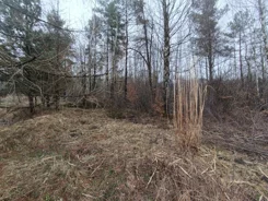 GH356858 - zdjęcie nr 0