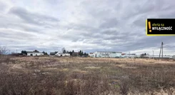 GH906887245 - zdjęcie nr 2
