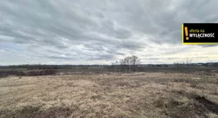 GH906887245 - zdjęcie nr 3
