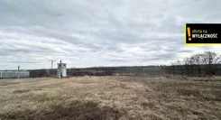 GH906887245 - zdjęcie nr 4