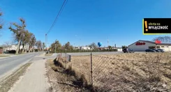GH190236 - zdjęcie nr 4