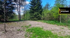 GH745595 - zdjęcie nr 3