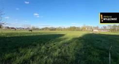 GH177722 - zdjęcie nr 4