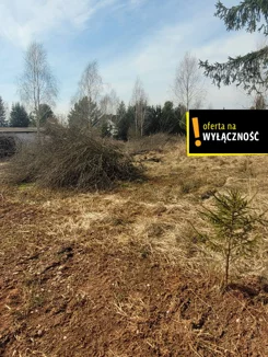 GH949581 - zdjęcie nr 0