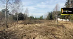 GH949581 - zdjęcie nr 3